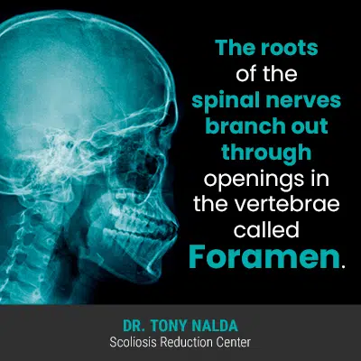 Treating neurologic-like symptoms by addressing cervical spine instability  and disrupted blood flow into the brain – Caring Medical Florida