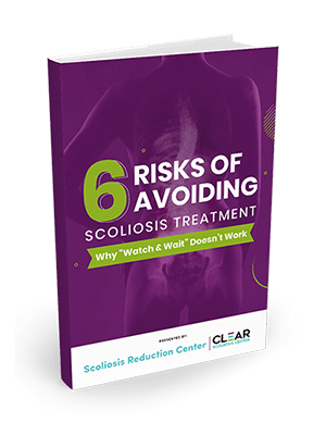 6 risks guide cover